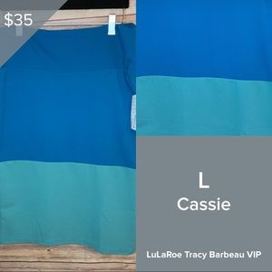 NWT LuLaRoe Large Cassie skirt